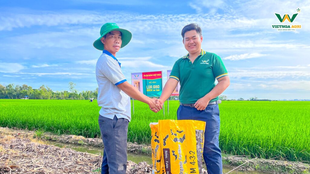 Mô Hình “Lúa Sạch - Gạo An Toàn” Sử Dụng 100% Phân Bón Hữu Cơ Của Phân Bón Việt Nga Hiệu Quả Ra Sao? Đại diện Phân Bón Việt Nga trao sản phẩm Phân bón hữu cơ 75% OM (Nauy) cho anh Nguyễn Văn Núp trong dự án Lúa sạch