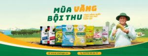 Top 10 công ty phân bón ở Việt Nam uy tín Phân Bón Việt Nga phân phối và sản xuất phân bón uy tín tại đồng bằng sông cửu long