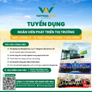VIET NGA 2025 BAI DANG TUYEN DUNG THANG 11.2025 14 2