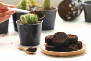 Coffee grounds are truly a natural, nutrient-rich fertilizer that supports sustainable and organic farming practices.