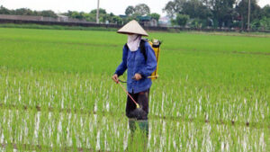Mechanical Measures: Improve Precision and Crop Strength