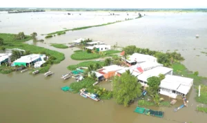 Mưa Lớn Diện Rộng Tại Nam Bộ - Bà Con Cần Chủ Động Ứng Phó Để Bảo Vệ Mùa Vụ Nước dâng cao khiến nhiều khu dân cư ở vùng Đồng Tháp Mười trở thành các ốc đảo biệt lập ( Nguồn ảnh Báo Thanh Niên )