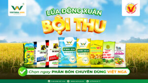 Bí Quyết Phối Trộn Phân NPK Việt Nga Giúp Cây Trồng Hấp Thụ Tốt Nhất Với cấu trúc hạt đồng nhất, phân NPK chuyên dùng giúp dinh dưỡng được cung cấp ổn định