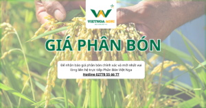Cập Nhật Giá Phân Bón Ngày 29/12/2025 - Chi Tiết Cho Nhà Nông Tham Khảo GIA PHAN BON 2