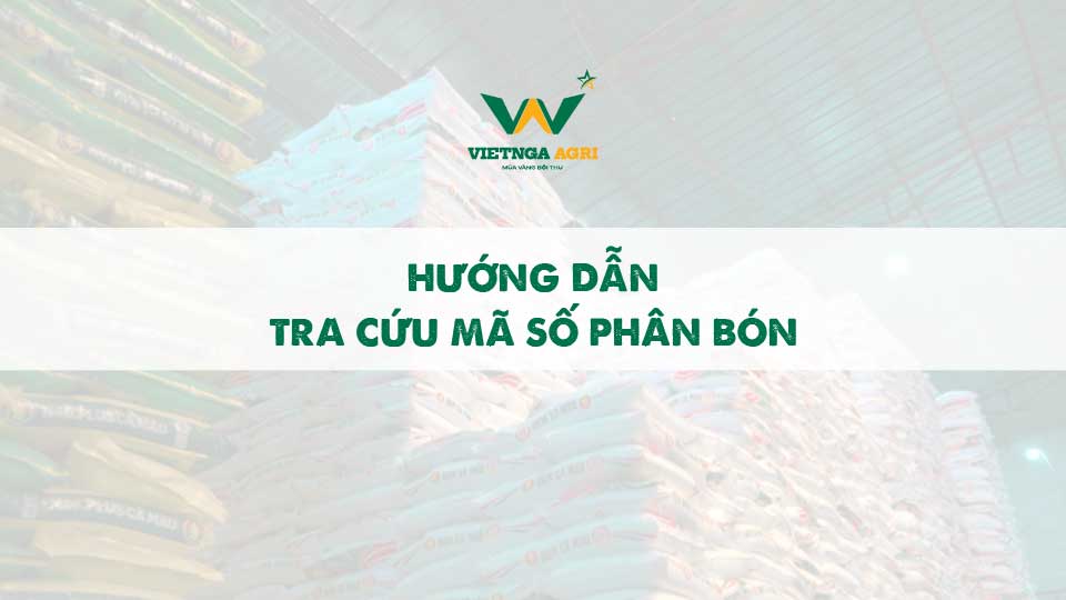 Hướng Dẫn Tra cứu MSPB