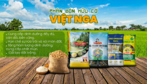 Vai Trò Của Bón Lót Trong Cải Tạo Đất Và Nâng Cao Độ Phì Nhiêu Canh Tác Các dòng phân bón Hữu Cơ của Phân Bón Việt Nga