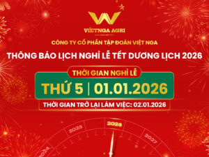 VIET NGA 2025 TET 2026 LICH NGHI TET DUONG LICH THUMBNAIL WEBSITE