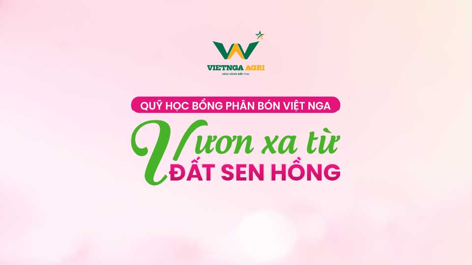 Vươn xa từ đất sen hồng