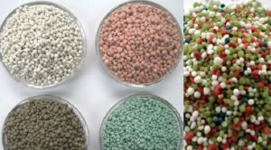 Bí Quyết Phối Trộn Phân NPK Việt Nga Giúp Cây Trồng Hấp Thụ Tốt Nhất Phân NPK trộn truyền thống và NPK chuyên dùng khác nhau thế nào?