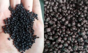 Sử Dụng Phân DAP Để Kích Rễ Và Hạ Phèn Cho Đất Lúa Đầu Vụ Phân DAP (Diammonium Phosphate)