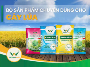 Bí Quyết Phối Trộn Phân NPK Việt Nga Giúp Cây Trồng Hấp Thụ Tốt Nhất Bộ giải pháp NPK chuyên dùng Việt Nga – dinh dưỡng theo từng giai đoạn sinh trưởng của cây trồng
