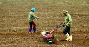 Bón Phân hữu cơ vi sinh giúp cải thiện cấu trúc đất, tăng độ tơi xốp và phục hồi độ mùn tự nhiên.
