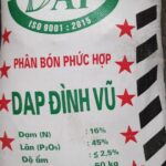 10. DInh vu hat den tham khao