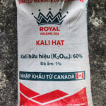 14. Kali Canada Hat Mieng 61