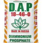 21. DAP DEN NGA mau mockup