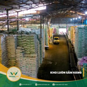 Viet Nga Agri proactively secures supply and stands ready to support dealers and farmers. Viet Nga Agri proactively secures supply and stands ready to support dealers and farmers.
