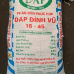 9.DAP Dinh VU