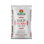 DAP Ca Mau 18 46 Mat truoc 1024x1024 1