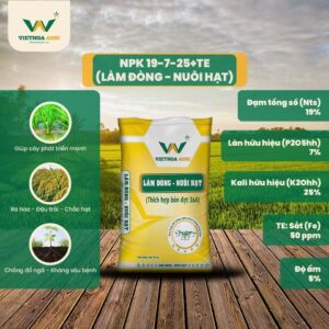 NPK 19-7-25+TE phù hợp sử dụng trong giai đoạn đón đòng, giúp bông lúa phát triển tốt, tăng số hạt và nâng cao tỷ lệ hạt chắc khi thu hoạch. NPK 19-7-25+TE phù hợp sử dụng trong giai đoạn đón đòng, giúp bông lúa phát triển tốt, tăng số hạt và nâng cao tỷ lệ hạt chắc khi thu hoạch.