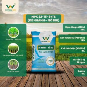 NPK 22-15-8+TE thường được sử dụng cho các đợt bón thúc sớm và thúc đẻ nhánh, góp phần tăng số nhánh hữu hiệu và tạo nền tảng cho quá trình hình thành bông sau này. NPK 22-15-8+TE thường được sử dụng cho các đợt bón thúc sớm và thúc đẻ nhánh, góp phần tăng số nhánh hữu hiệu và tạo nền tảng cho quá trình hình thành bông sau này.