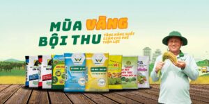 Quy Trình 5 Bước Cải Tạo Đất Bạc Màu Sau Nhiều Vụ Canh Tác Liên Tục Phân Bón Việt Nga chuyên cung cấp các dòng phân chuyên dùng phù hợp trong từng giai đoạn sinh trưởng