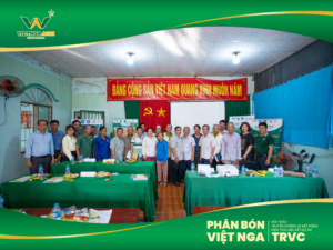 Toàn cảnh hội thảo Dự án TRVC tại Đồng Tháp vối sự tham gia của SNV, BQLDA tỉnh Đồng Tháp cùng các đơn vị chuyên môn, hợp tác xã và nông dân trên địa bàn. Toàn cảnh hội thảo Dự án TRVC tại Đồng Tháp vối sự tham gia của SNV, BQLDA tỉnh Đồng Tháp cùng các đơn vị chuyên môn, hợp tác xã và nông dân trên địa bàn.