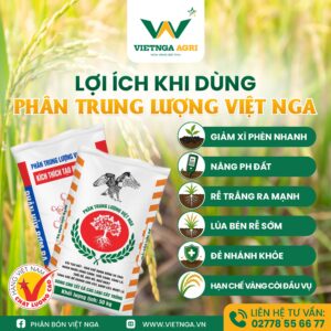 Rải Phân Trung Lượng Việt Nga Để Cân Bằng pH Đất Rải Phân Trung Lượng Việt Nga Để Cân Bằng pH Đất