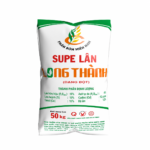 Lan long thanh dang bot 2