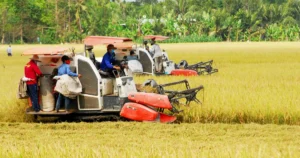 Khi dòng chảy nhiên liệu và phân bón bị gián đoạn, chi phí sản xuất nông nghiệp tại nhiều quốc gia đã tăng lên đáng kể. Khi dòng chảy nhiên liệu và phân bón bị gián đoạn, chi phí sản xuất nông nghiệp tại nhiều quốc gia đã tăng lên đáng kể.