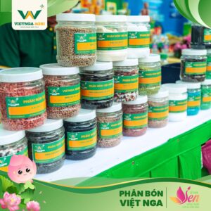 Phân Bón Việt Nga Cùng Lan Tỏa Giá Trị Nông Nghiệp Đất Sen Hồng Tại Lễ Hội Sen Đồng Tháp 2026 VNG 2026 SOCIAL POST LE HOI SEN FRAME 9