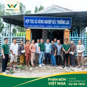 Phân Bón Việt Nga sẽ tiếp tục đồng hành cùng HTXNN Số 2 Thường Lạc tham gia các vụ tiếp theo của Dự án TRVC. Phân Bón Việt Nga sẽ tiếp tục đồng hành cùng HTXNN Số 2 Thường Lạc tham gia các vụ tiếp theo của Dự án TRVC.