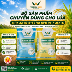 Bộ phân bón chuyên dùng cho lúa NPK 22-15-8+TE và NPK 19-7-25+TE Việt Nga Bộ phân bón chuyên dùng cho lúa NPK 22-15-8+TE và NPK 19-7-25+TE Việt Nga