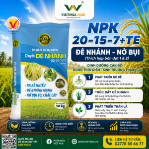 NPK 20-15-7+TE - Dinh dưỡng cho giai đoạn bén rễ, đẻ nhánh và nở bụi NPK 20-15-7+TE - Dinh dưỡng cho giai đoạn bén rễ, đẻ nhánh và nở bụi