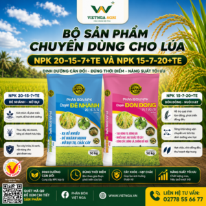 Bộ phân bón chuyên dùng cho lúa NPK 20-15-7+TE và NPK 15-7-20+TE có gì nổi bật? Bộ phân bón chuyên dùng cho lúa NPK 20-15-7+TE và NPK 15-7-20+TE có gì nổi bật?