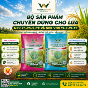 Bộ phân bón chuyên dùng cho lúa NPK 25-25-5+TE và NPK VNG 19-9-19+TE Bộ phân bón chuyên dùng cho lúa NPK 25-25-5+TE và NPK VNG 19-9-19+TE