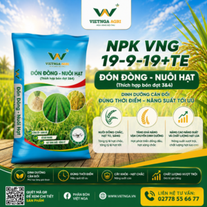 NPK VNG 19-9-19+TE – Đón đòng, nuôi hạt NPK VNG 19-9-19+TE – Đón đòng, nuôi hạt