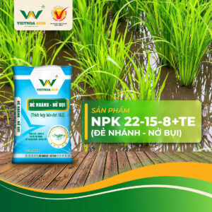 Bộ Phân Bón Chuyên Dùng Cho Lúa Việt Nga 22-15-8+TE và 19-7-25+TE – Giải Pháp Dinh Dưỡng Theo Từng Giai Đoạn Sinh Trưởng NPK 22-15-8+TE được sử dụng ở giai đoạn đầu của vụ lúa, khi cây bắt đầu hình thành bộ rễ, phát triển thân lá và đẻ nhánh.