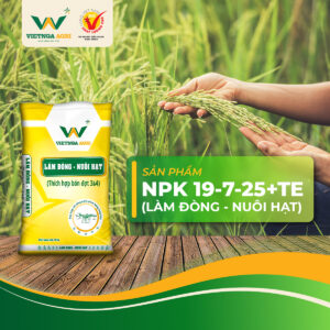 Bộ Phân Bón Chuyên Dùng Cho Lúa Việt Nga 22-15-8+TE và 19-7-25+TE – Giải Pháp Dinh Dưỡng Theo Từng Giai Đoạn Sinh Trưởng NPK 19-7-25+TE được nghiên cứu với hàm lượng kali cao hơn, giúp cây nuôi đòng tốt, tăng tỷ lệ hạt chắc, hạn chế lép lửng và góp phần nâng cao chất lượng hạt sau thu hoạch.