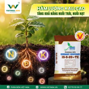 NPK 15-5-20+TE - Phân Bón Cho Mùa Mưa Giàu Kali, Bổ Sung Vi Lượng NPK 15-5-20+TE với công thức giàu Kali 20% kết hợp NPK và bổ sung các nguyên tố vi lượng