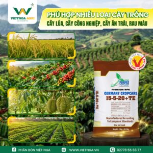 NPK 15-5-20+TE - Phân Bón Cho Mùa Mưa Giàu Kali, Bổ Sung Vi Lượng NPK 15-5-20+TE phù hợp với những loại cây trồng nào?